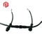 Bett M12-Typ und männlicher 8-poliger Kabelstecker